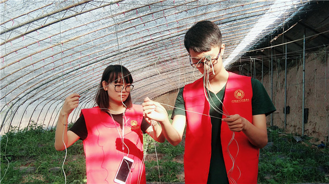 【三下乡】调研大棚  象谷的风景线——机电工程系“机时予”象谷村志愿服务纪实（二）