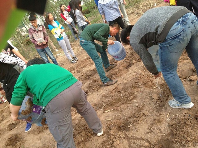 充满希望的“QQ农场” ——记信工系学生自主农场实践基地之卓越农场