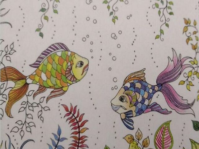 【完满班级】青春无悔 不负韶华——艺术传媒学院环设1701班艺术实践完满班级活动