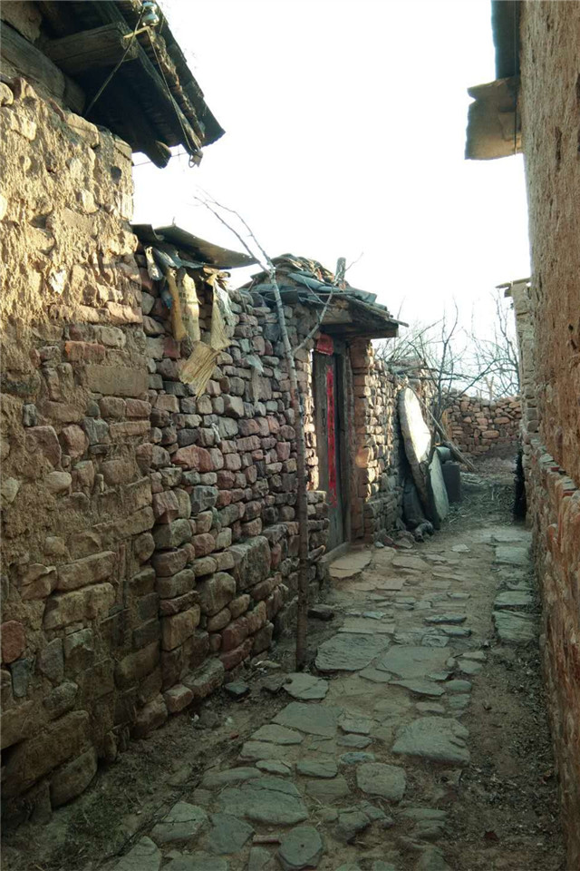 【暑期社会实践】淬炼商学院：聚焦农村特色 探寻乡村振兴