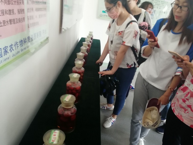 【完满班级】所爱隔山海 山海皆可平——食品与环境学院爱情价值观研讨会