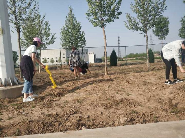 【完满班级】正青春 志愿行——淬炼商学院五月完满班级主题活动（三十二）