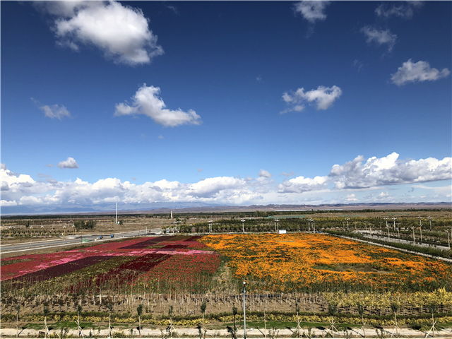 西部之声第7期:我只身前行 却仿佛与一万雄兵同在