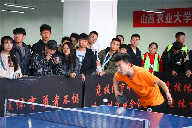 【信院力量·体联】学生体育联合会11月特色亮点活动回顾