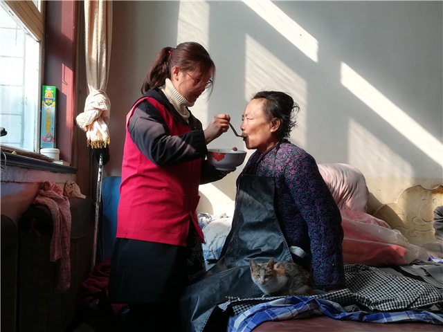 为失独老人找回幸福时光——喜讯!我校“点亮心灯”失独老人帮扶行动项目荣获省级荣誉