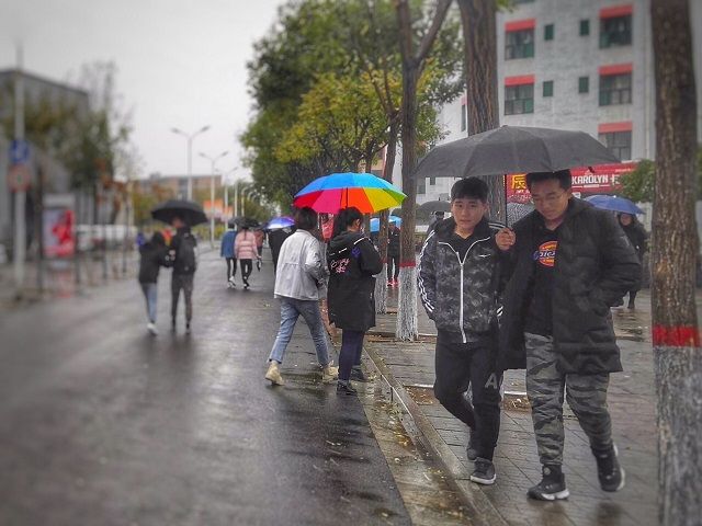 青春的行走 爱心的传递——食品与环境学院第三届“融合杯”乐享益动嘉年华之举步生花益行大奖赛