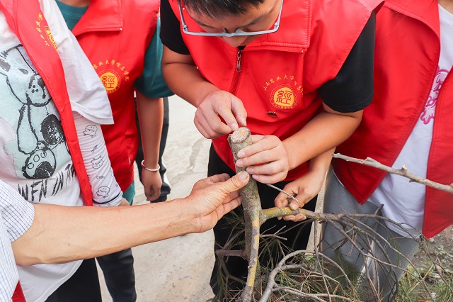 【三下乡】身体力行学党史 赓续共产党人的精神血脉——经济与管理学院“经”史思源党史学习实践团“三下乡”实践活动纪实四