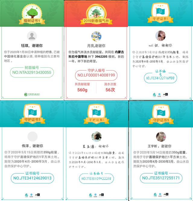 【主题团日】淬炼商学院2019级开展系列主题团日活动 致敬五四精神