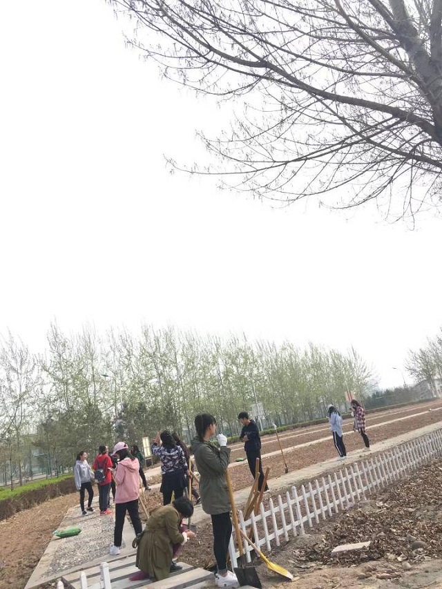 【完满班级】专业知识碰撞实践 园林之花绽放信院——环科系园林1601班“园林学子的汗水”主题活动