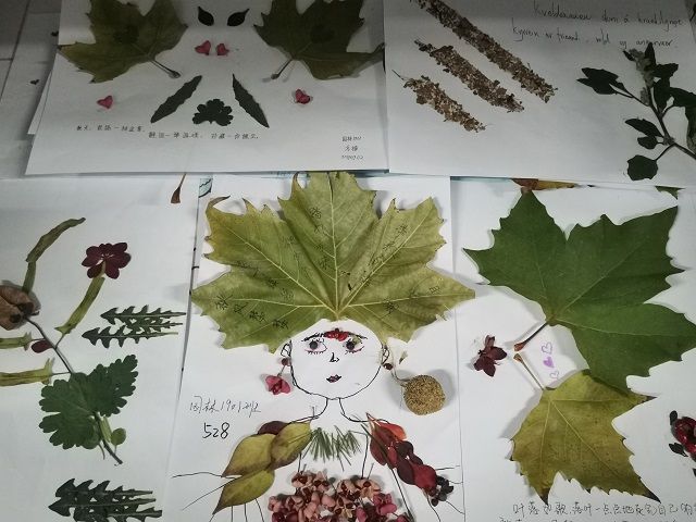 【完满班级】落叶飞舞 创意无限——食品与环境学院园林1901班完满班级活动