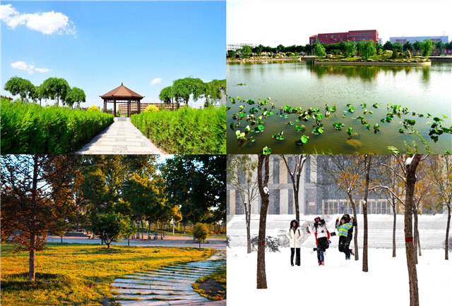 【毕业季】淬炼商学院千余名毕业生用别样方式告别母校