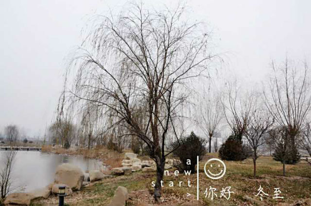 【前行】第89期:冬至到了 春天还会远吗?