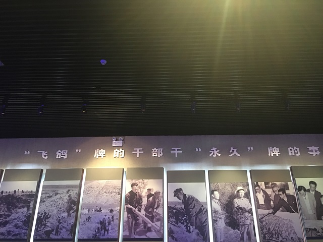 青马中北行：汇聚青年心声  完满于心同行