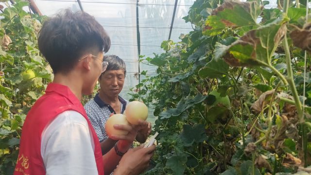 【三下乡】乡村振兴提质增效 饮水思源走深做实
