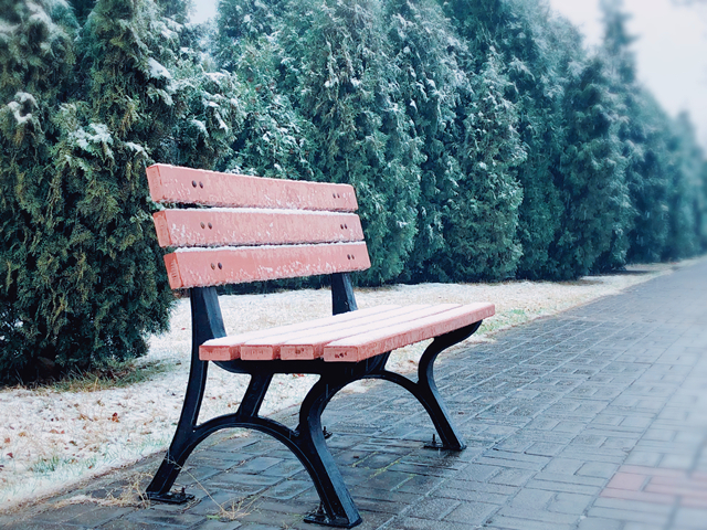 【完满班级】美好信院——数媒1601班摄影大赛