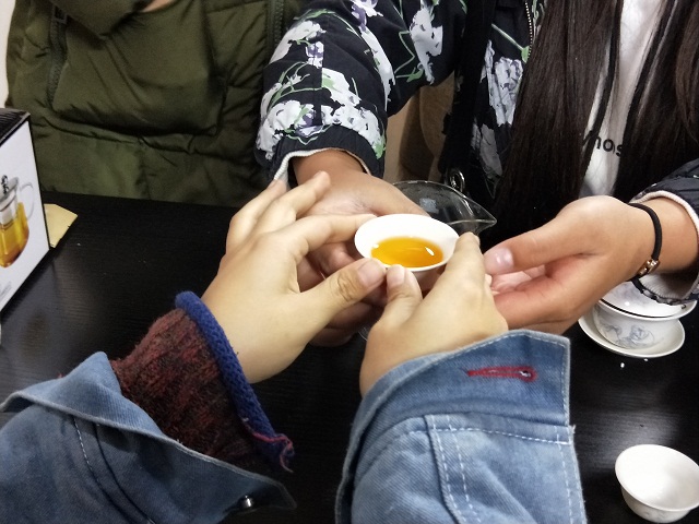 【完满班级】文化溯源 点亮心灯——环科系园艺1701班完满班级活动