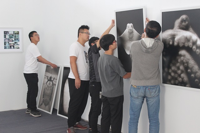 明月装饰了古城的夜晚 你的身影装饰了古城的梦