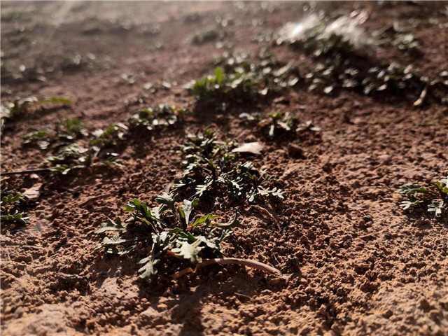 【完满班级】放慢脚步 静聆时光——智能工程学院完满班级主题系列活动