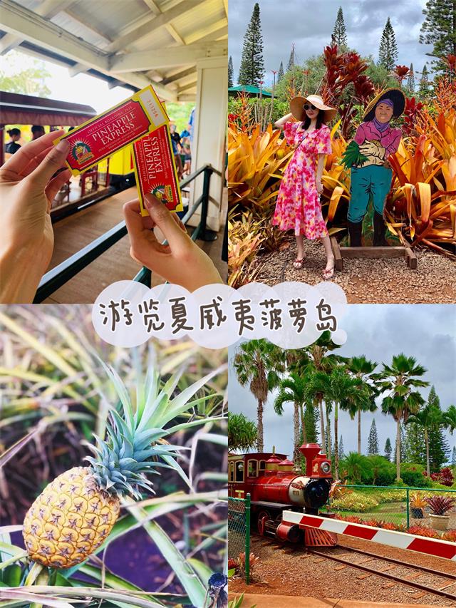 她说·女生学堂|探寻空乘的职业礼仪素养