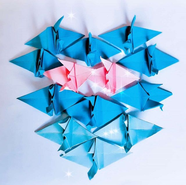 【完满班级】抗疫律己限出行 创意才华显才情——食品与环境学院食品1902班完满班级活动