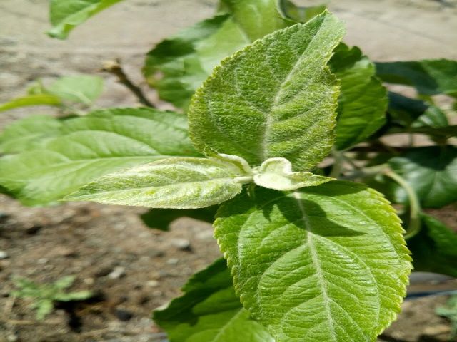 【完满班级】春暖花开 奔你而来——食品与环境学院园林1901班完满班级活动