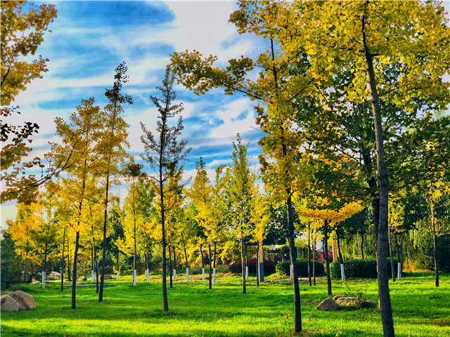 前行第175期:信院美好与你环环相扣