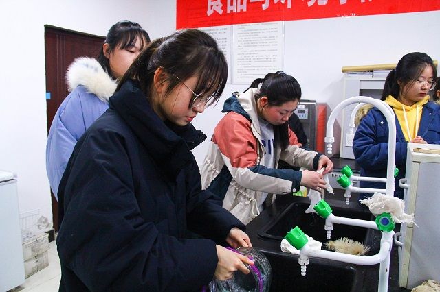 巧手巧心展巧艺——食品与环境学院第五届“蒸馏吧 水果们”食品酿酒大赛