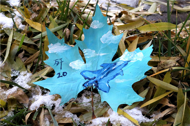 前行第165期:箕城学子枫叶手绘科技成果