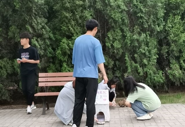 【青马工程】流浪小屋计划 让每一份爱心都得到归属