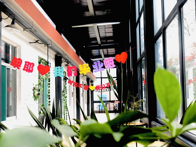 前行第178期：愿你跃入人海 各有风雨灿烂