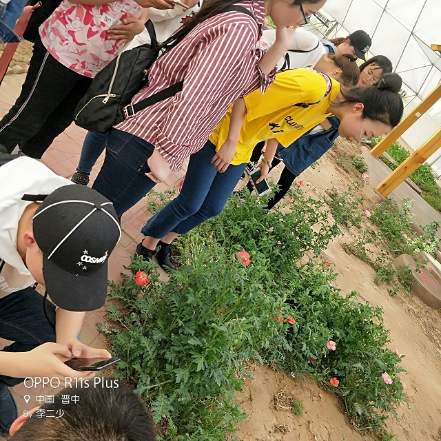 【完满班级】汇力凝神 完满园艺——食环院园艺1601班举办农作物鉴赏会完满班级活动