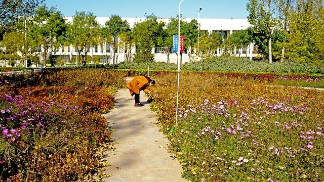 【社团快讯】抓住秋风无觅处 留意芳歇之姿态——食品与环境学院第二届“祖国风光 信院瞬间”网络直播创意摄影大赛