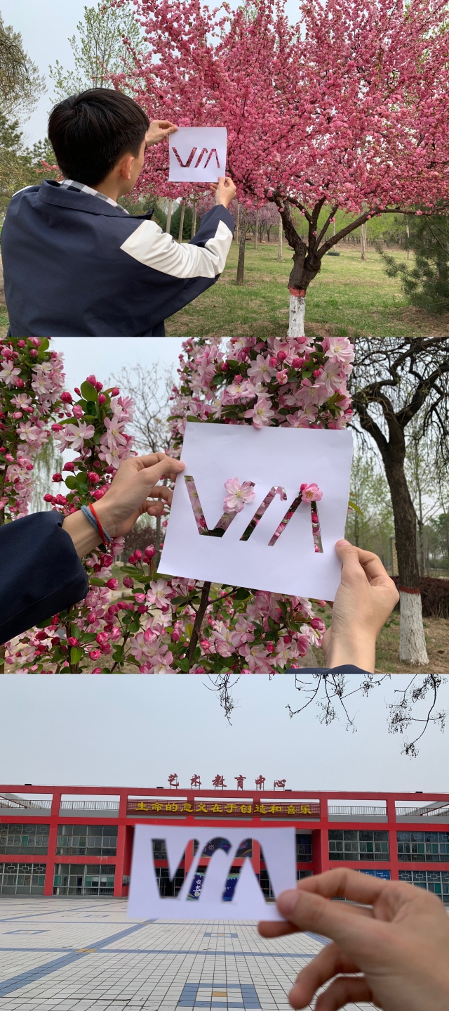 【完满班级】十年峥嵘枝叶繁 斑驳光影看信院——物流1902班“我和校园有个约会”春季剪影活动