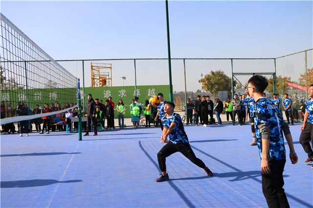 排球联赛:每一次起跳都是梦想的实现