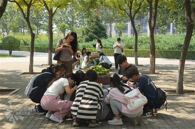 以信言情 信院学子执笔诠释成长与温情