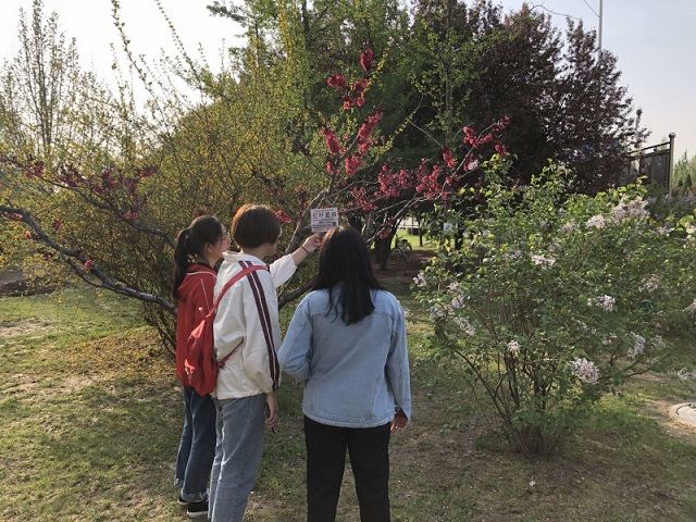 【完满班级】待到青春灿烂 一丝春意拂面 ——食品与环境学院园艺1701班完满班级活动