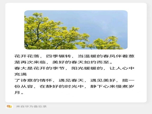 【完满班级】定格你我眼中的信院春天——艺术传媒学院视觉传达设计2103班完满班级活动