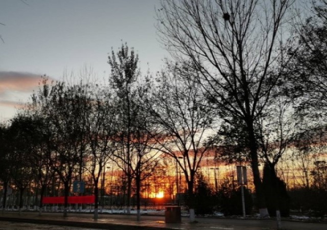 【完满班级】寻找秋天的脚步 感受自然之美——食品与环境学院动医1903班完满班级活动