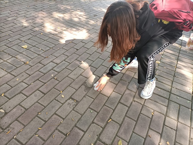 【完满班级】绿色生活 环保相伴——食品与环境学院食品2101班完满班级活动