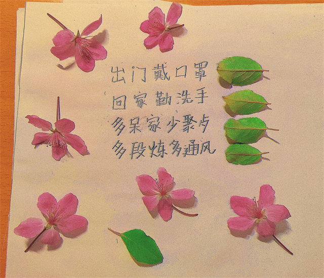 暖心工程第489期:朝夕行动·以花传情