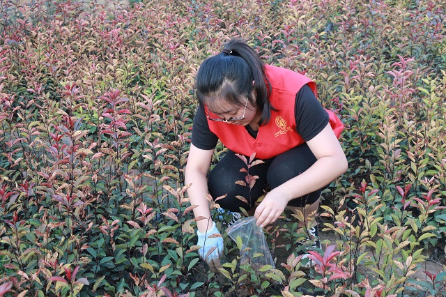【三下乡】信院学子在基层：2017暑期“三下乡”社会实践活动圆满结束