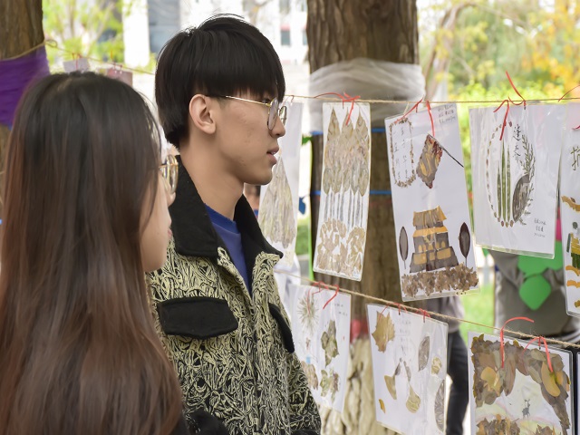 落叶传情 永留真心——食品与环境学院第八届“一叶知秋 落叶知情”树叶原创情书大赛