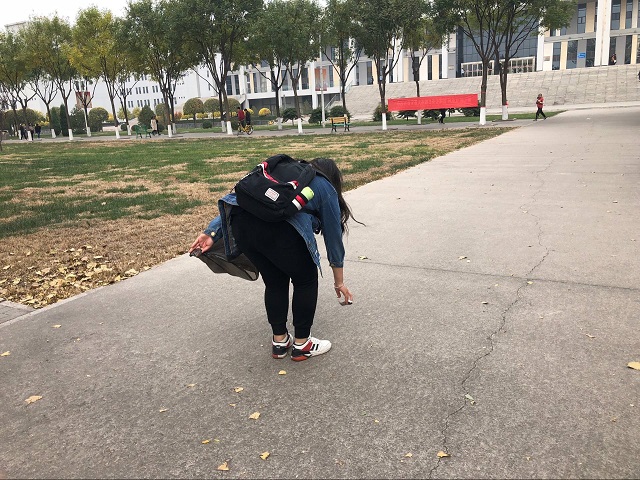 【完满班级】共建生态文明 共享绿色未来——艺术传媒学院环设1801班举办完满班级活动