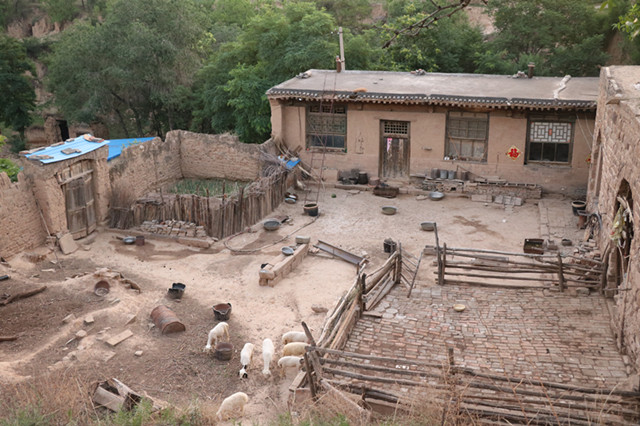 【三下乡】大山里的生存法则——外语系“青鸟”志愿服务队三下乡活动纪实