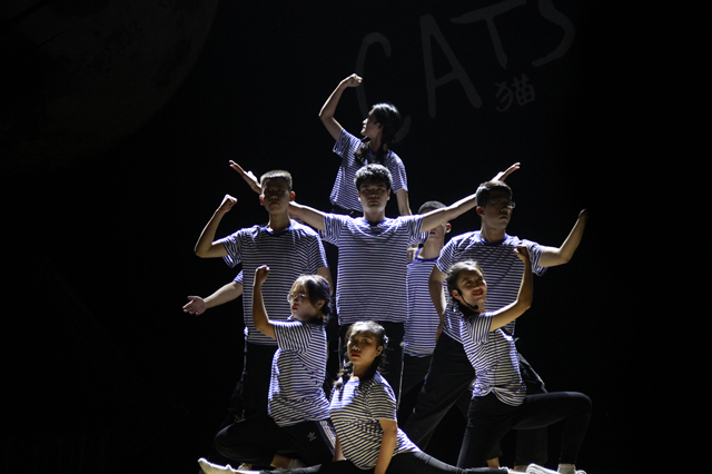 呐喊中寻找青春的足迹——首届“‘猫’的N次方”音乐剧大赛圆满落幕