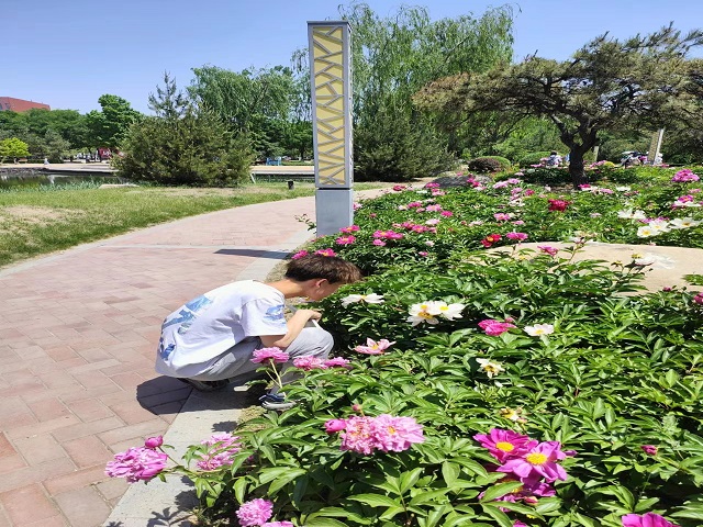 【完满团支部】繁花似锦 百花争艳——远景学院远景2205班完满团支部活动