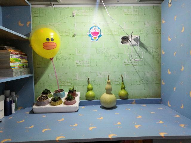 宿舍文化 温馨则行——大数据学院、信息工程学院“我的宿舍我做主”