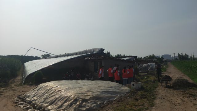 【三下乡】乡村振兴提质增效 饮水思源走深做实