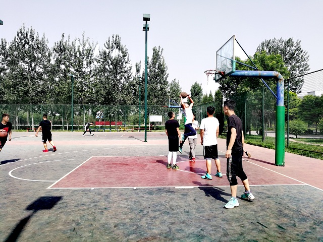 【完满班级】志同道合 亲密无间——食品与环境学院动医1701班举办完满班级活动