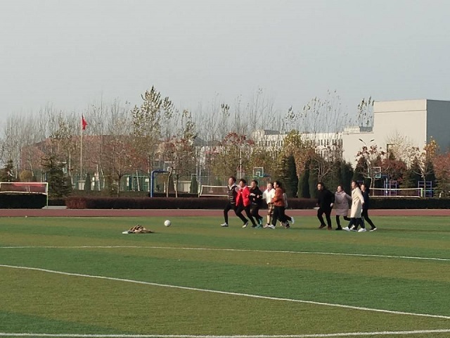 【完满班级】淬炼商学院11月完满班级主题活动回顾（四十九）